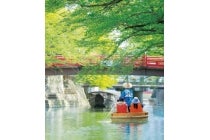 【名古屋駅発】*日帰り昼食付*『水の都おおがきたらい舟と近江牛鉄板焼きステーキランチ』1